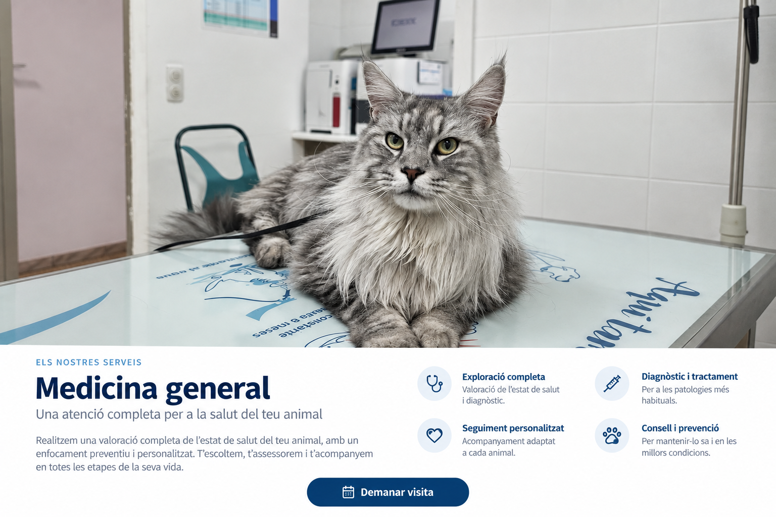 Consulta al Centre Veterinari La Salut