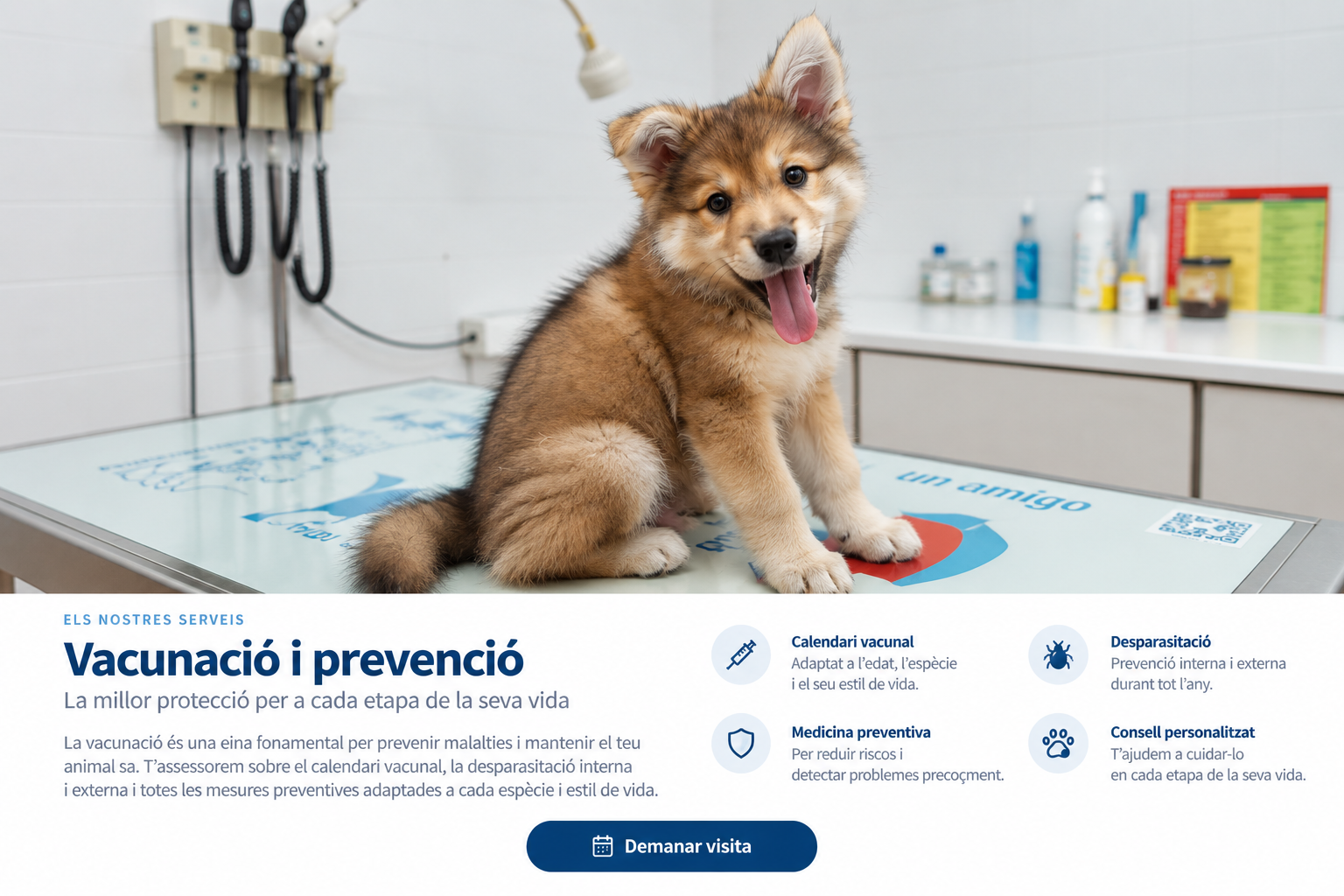Revisió preventiva a la clínica
