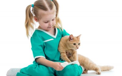 Lipidosis Hepatica o Síndrome del hígado graso felino