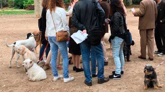 Barcelona prohibe entrada perros en el Turó Park