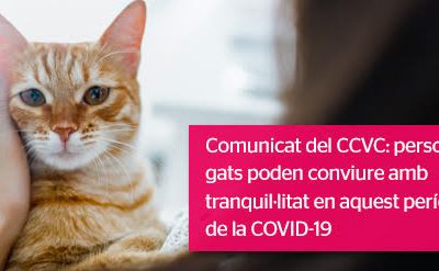 Comunicat oficial: Els gats i el COVID-19